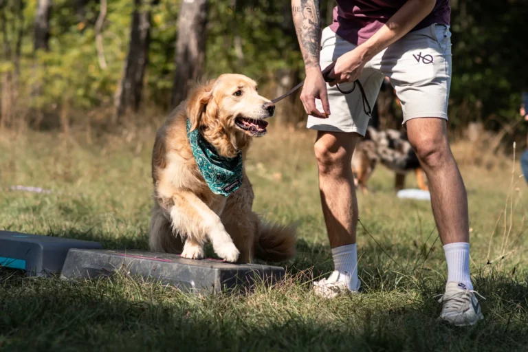 Proprioception - Édition 2025 - Canifun