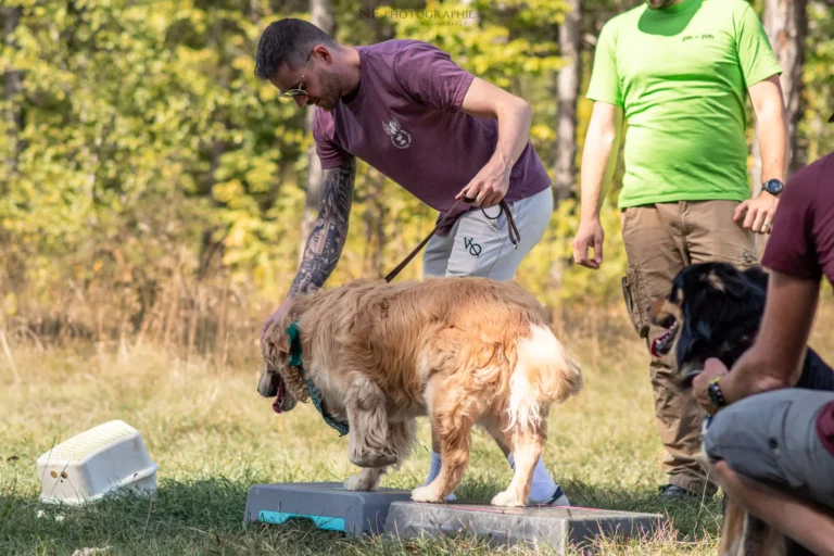 Proprioception - Édition 2025 - Canifun