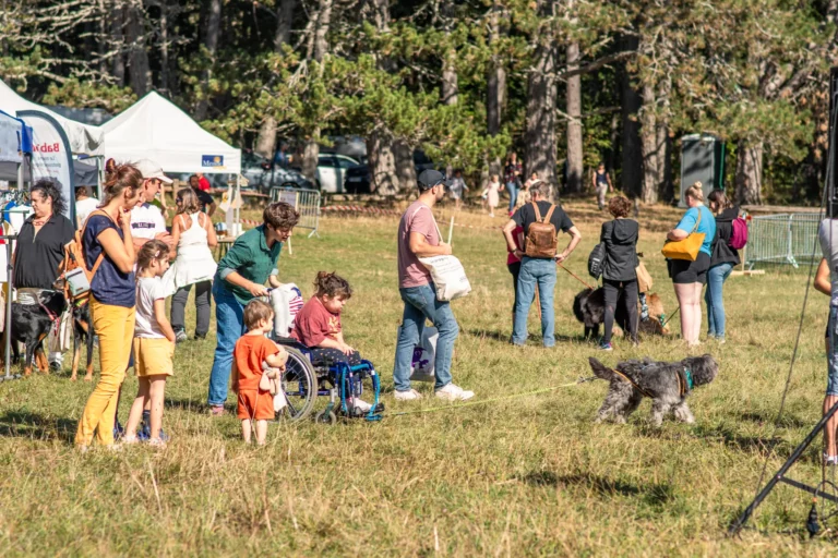 Cani-Cross - Édition 2025 - Canifun