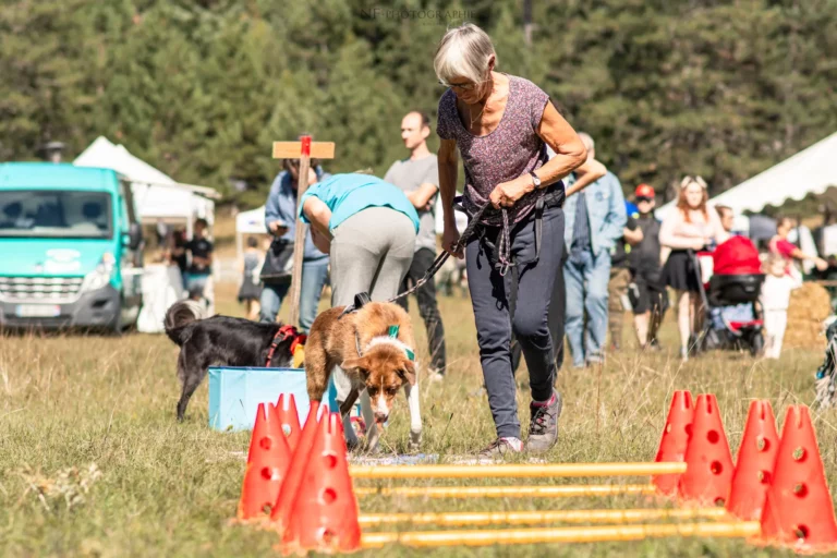 Proprioception - Édition 2025 - Canifun