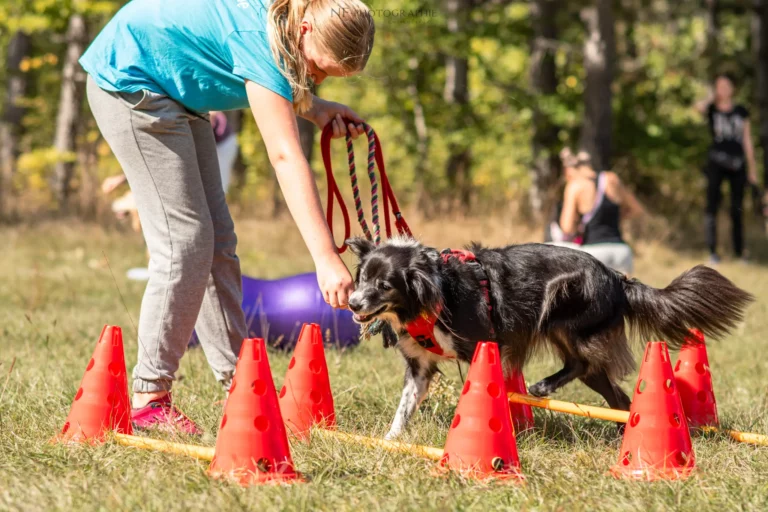 Proprioception - Édition 2025 - Canifun