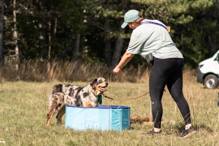 Proprioception - Édition 2025 - Canifun