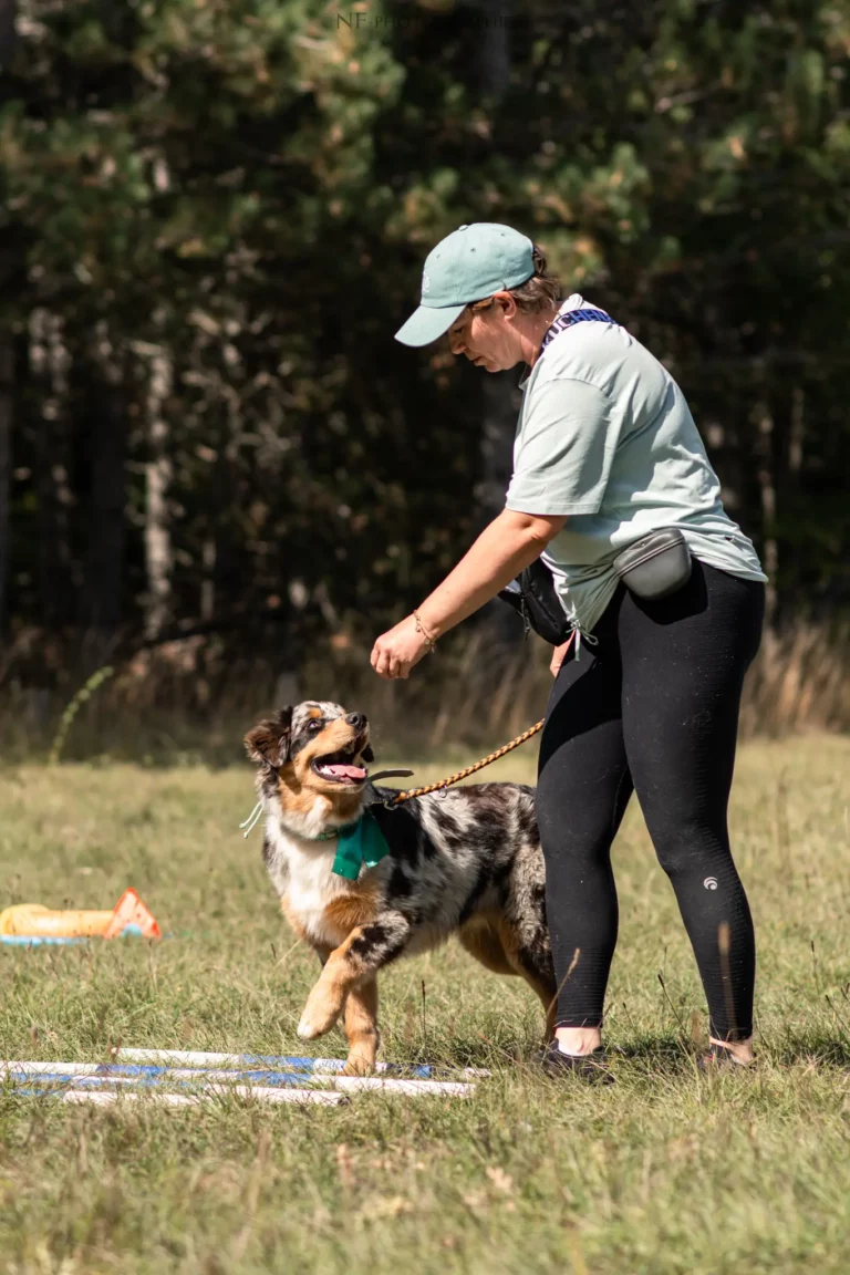 Proprioception - Édition 2025 - Canifun