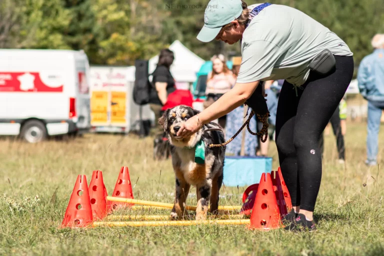Proprioception - Édition 2025 - Canifun