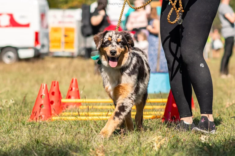 Proprioception - Édition 2025 - Canifun