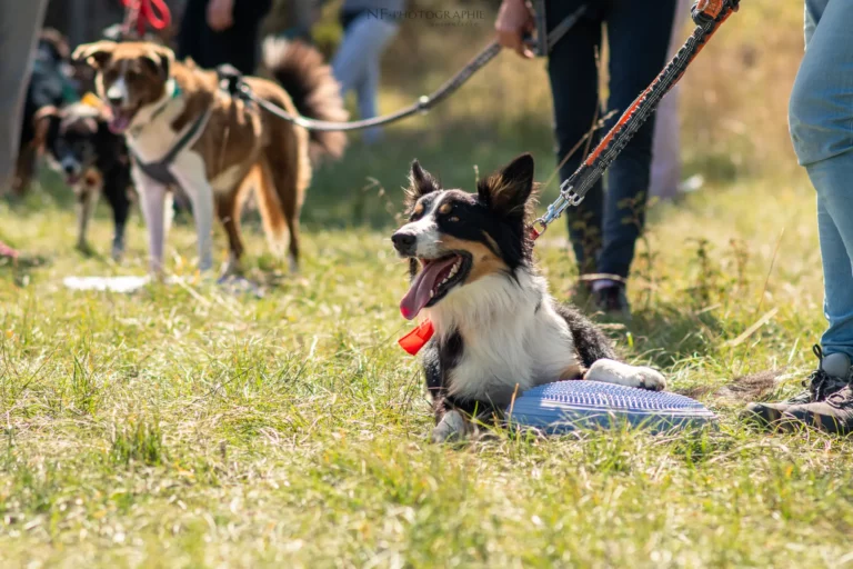 Proprioception - Édition 2025 - Canifun