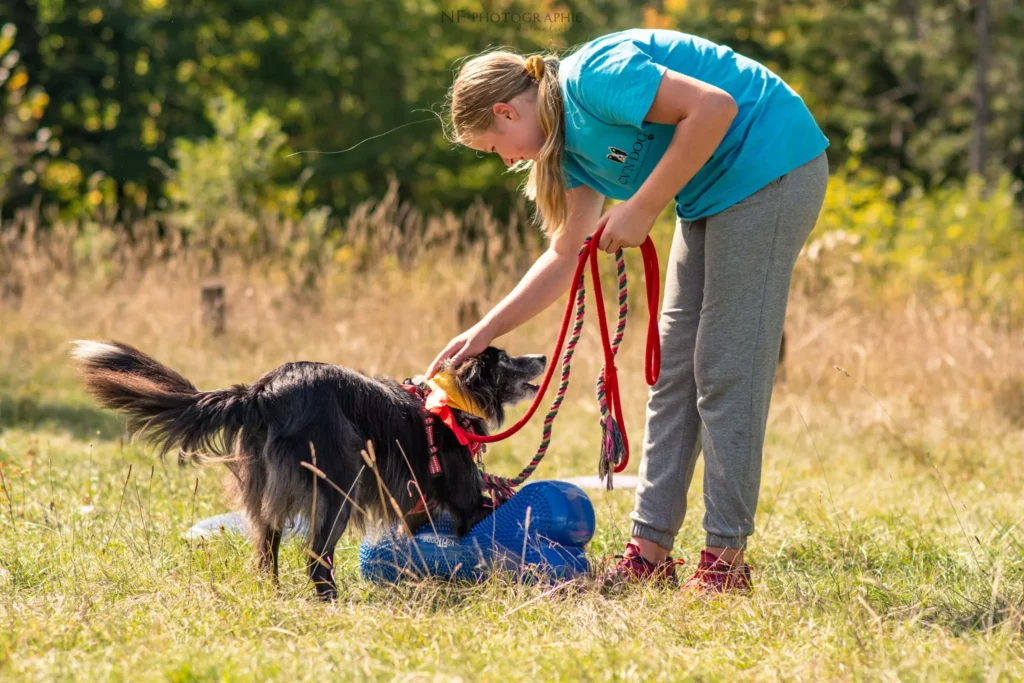 Proprioception - Édition 2025 - Canifun