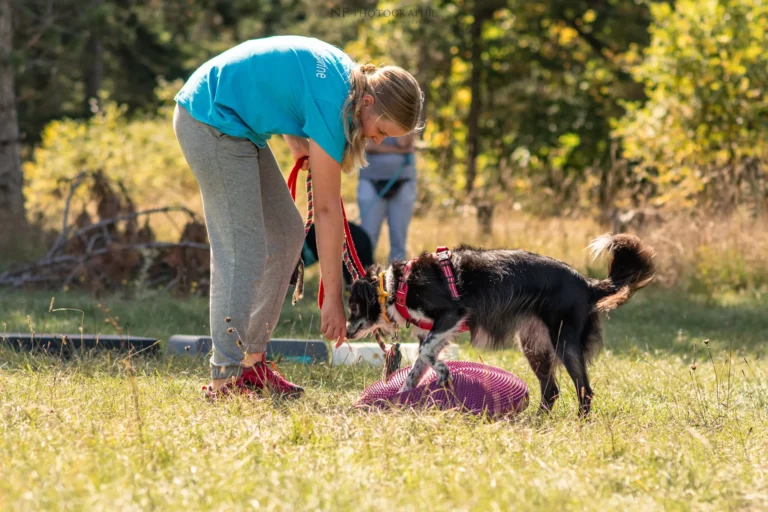 Proprioception - Édition 2025 - Canifun