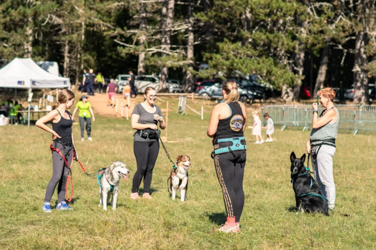 Cani-Cross - Édition 2025 - Canifun