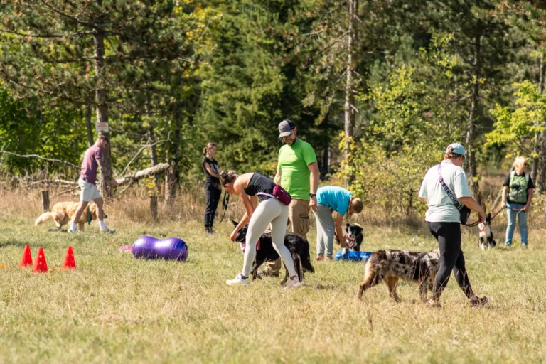 Proprioception - Édition 2025 - Canifun