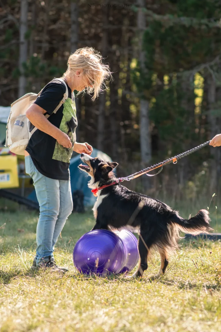 Proprioception - Édition 2025 - Canifun