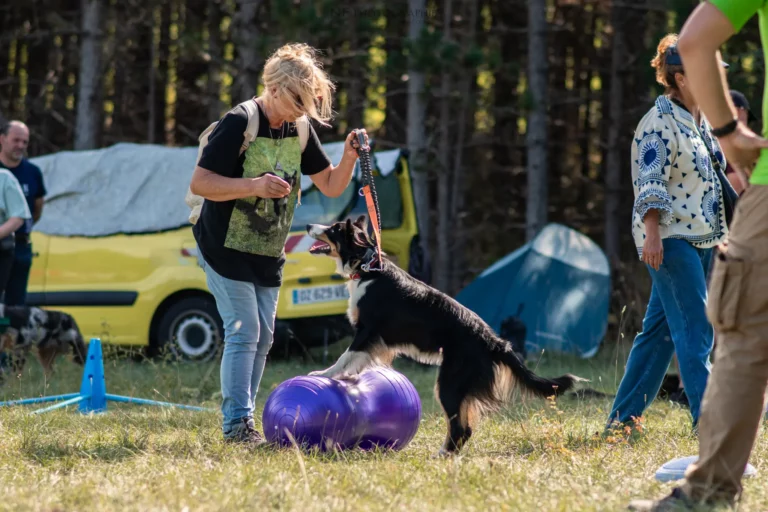 Proprioception - Édition 2025 - Canifun