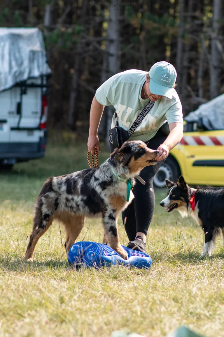 Proprioception - Édition 2025 - Canifun