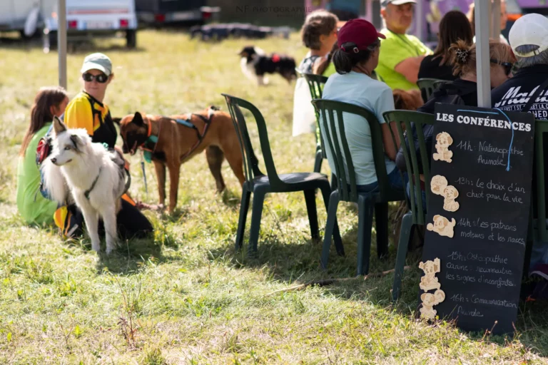 Conférences - Édition 2025 - Canifun