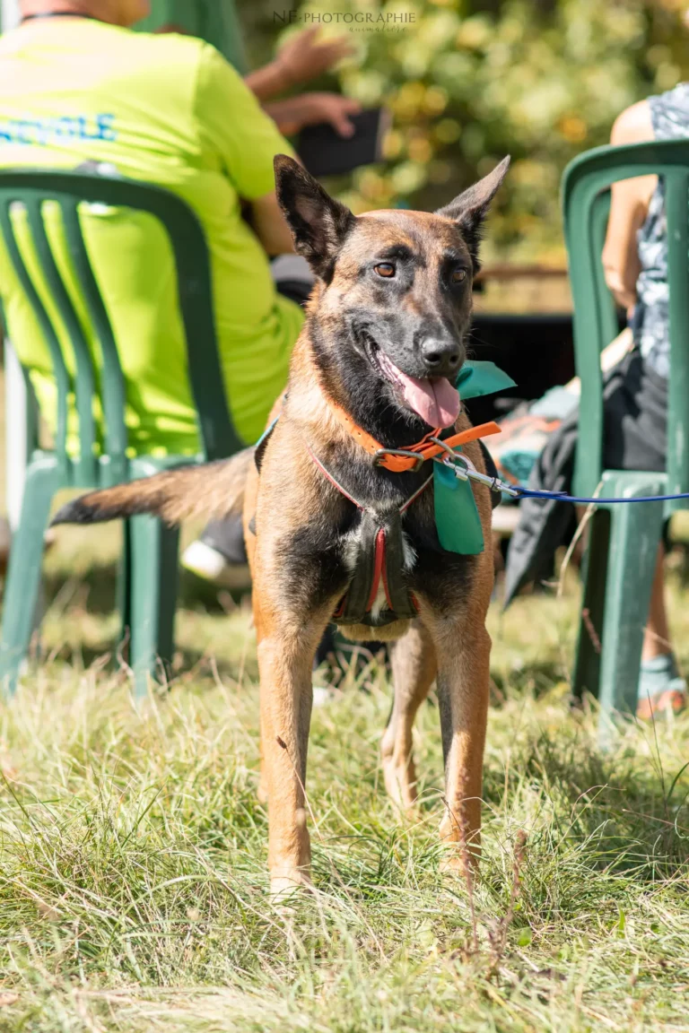 Conférences - Édition 2025 - Canifun
