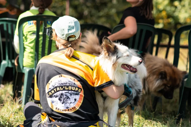 Conférences - Édition 2025 - Canifun