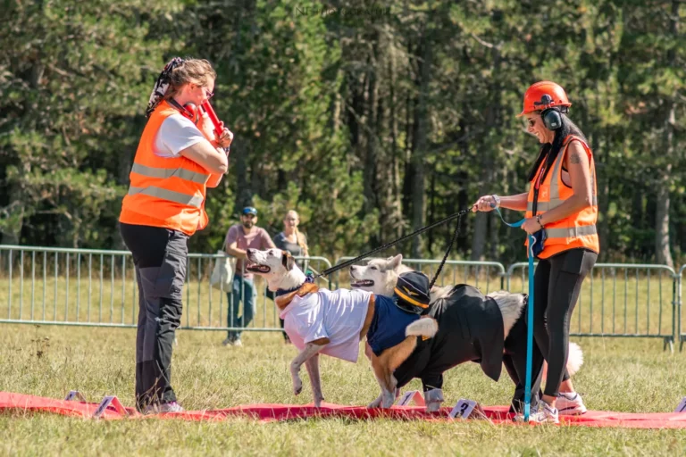 Défilé de Déguisements - Édition 2025 - Canifun