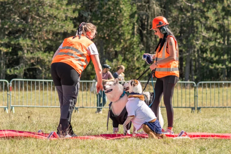 Défilé de Déguisements - Édition 2025 - Canifun