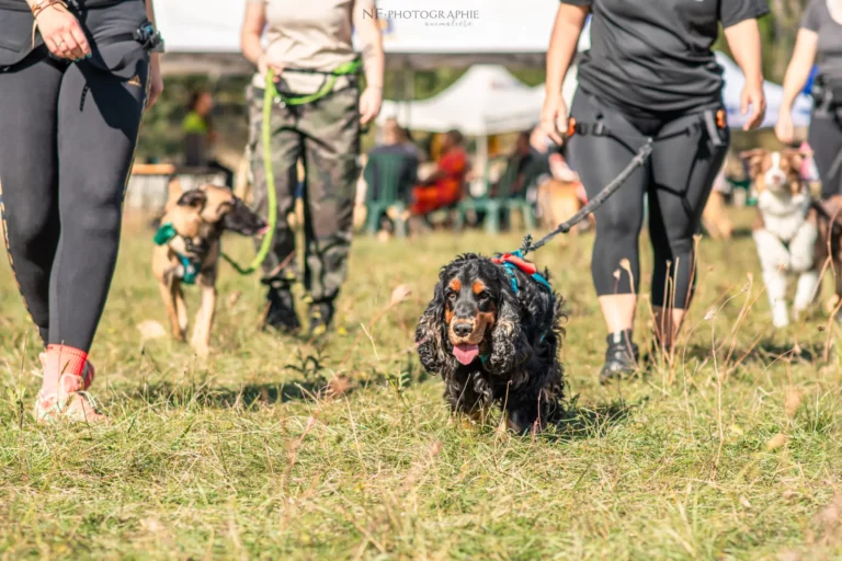 Cani-Cross - Édition 2025 - Canifun