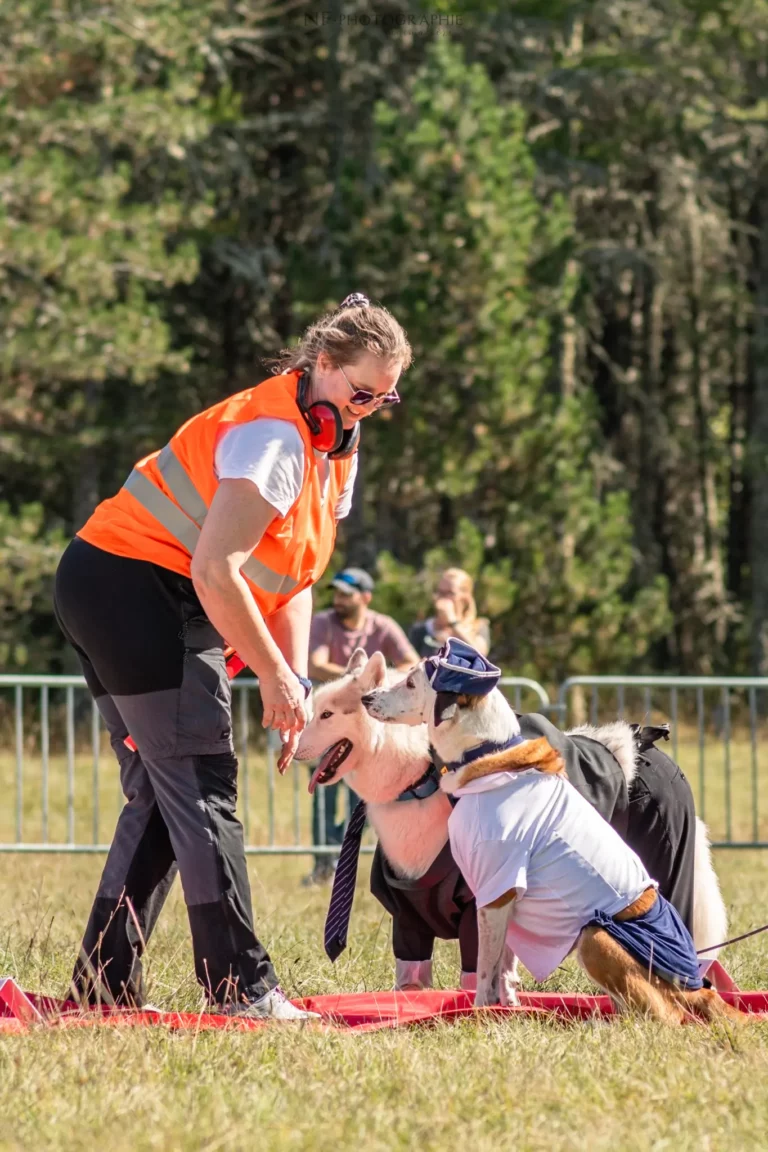 Défilé de Déguisements - Édition 2025 - Canifun