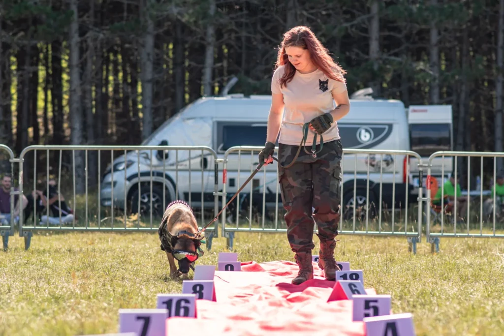 Défilé de Déguisements - Édition 2025 - Canifun