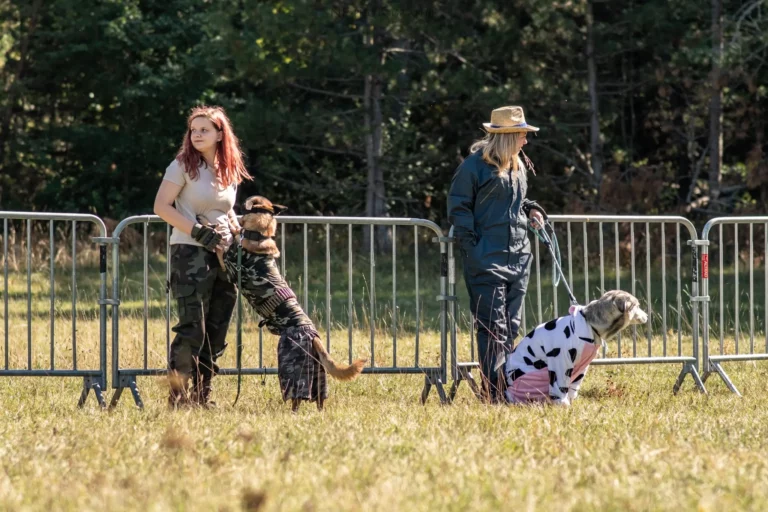 Défilé de Déguisements - Édition 2025 - Canifun