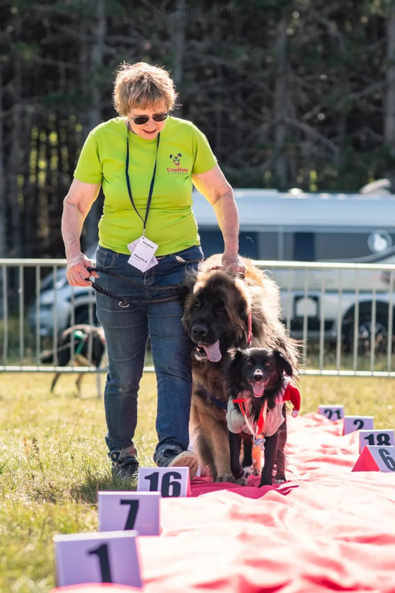 Défilé de Déguisements - Édition 2025 - Canifun