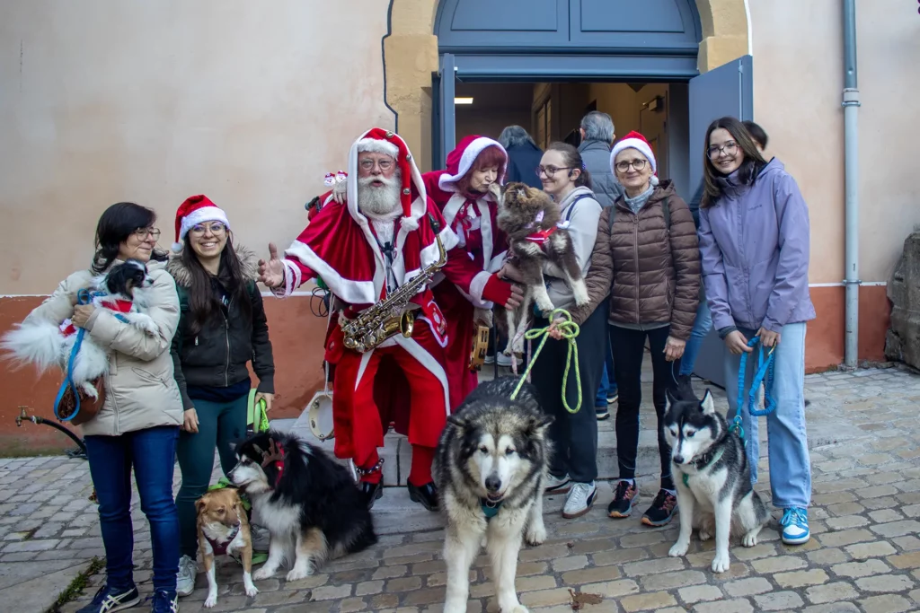 Cani'Balade de Noël - Canifun Lozère