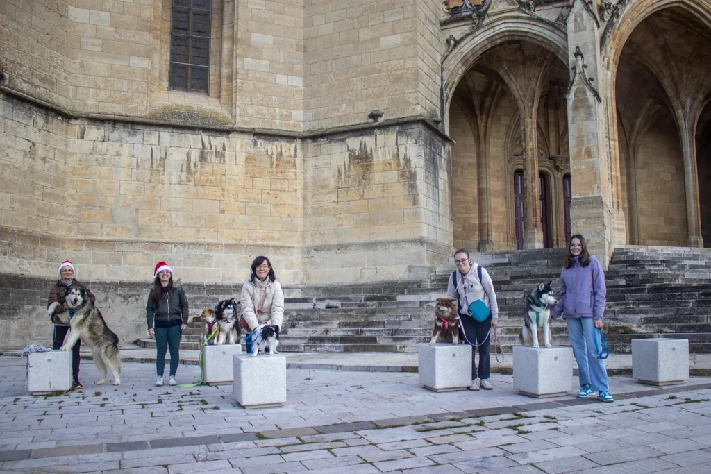 Cani'Balade de Noël - Canifun Lozère