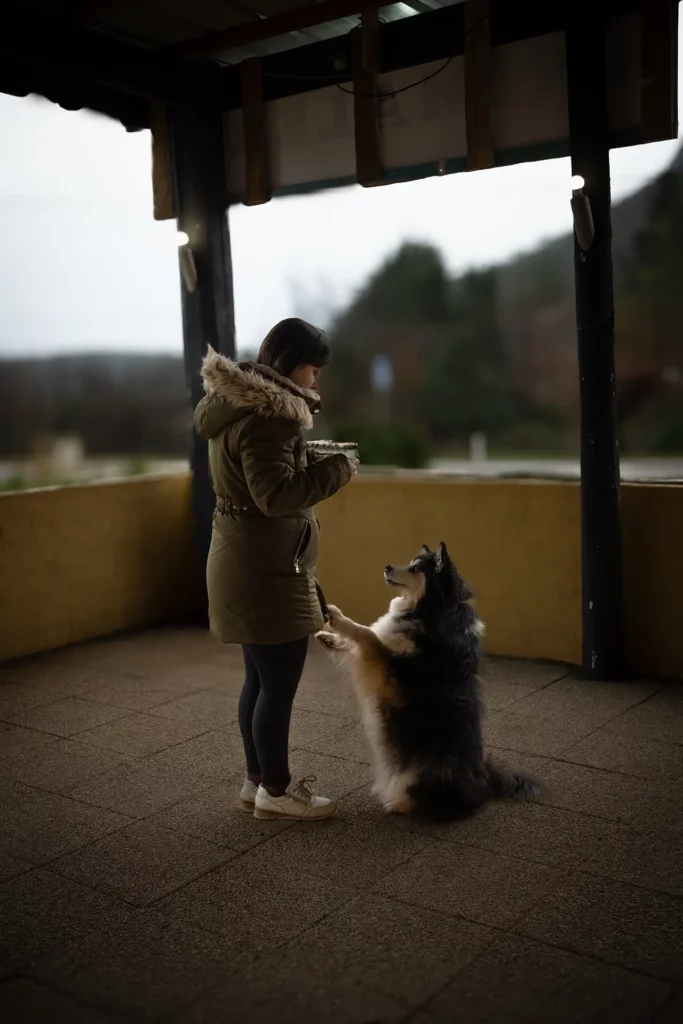 Inauguration Tasty Snack - Canifun Lozère