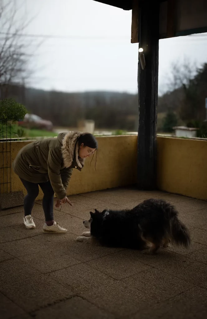 Inauguration Tasty Snack - Canifun Lozère