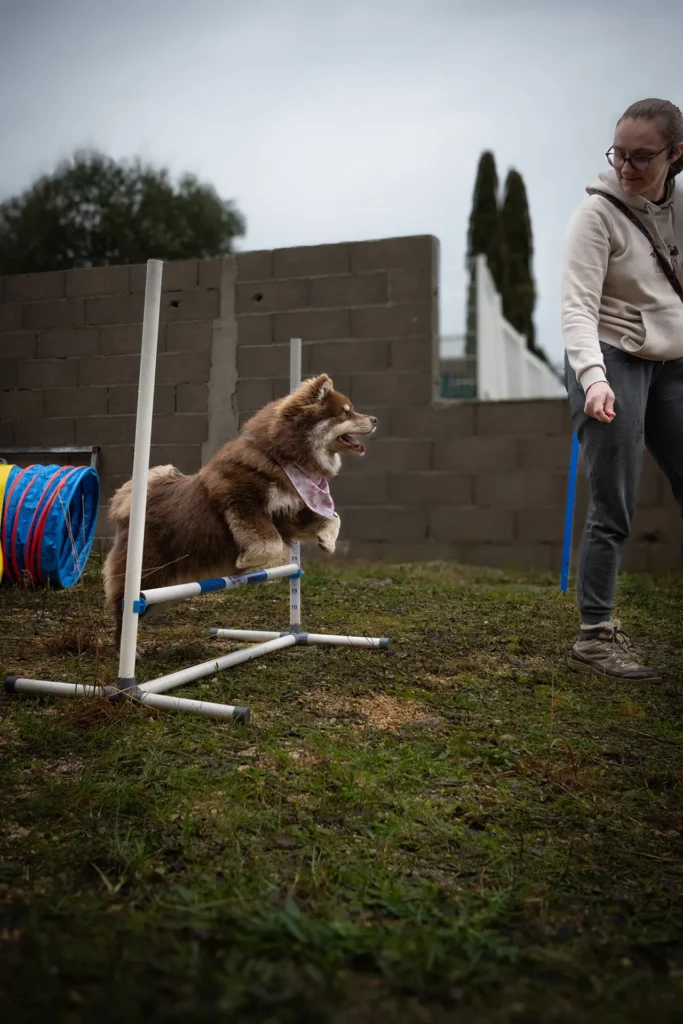 Inauguration Tasty Snack - Canifun Lozère