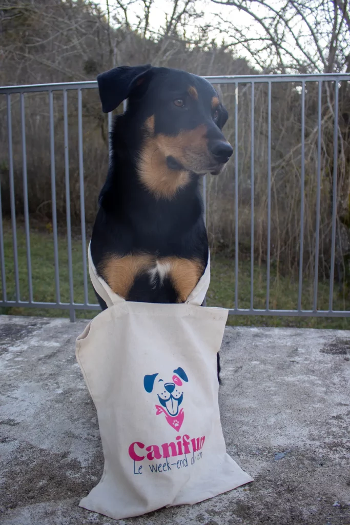 Goodies tote-bag - Canifun