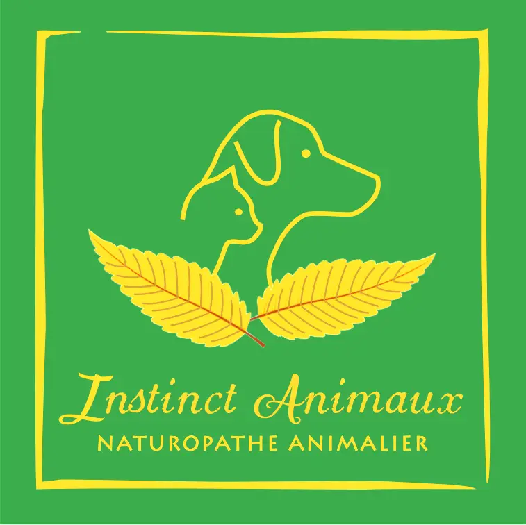 Instinct Animaux