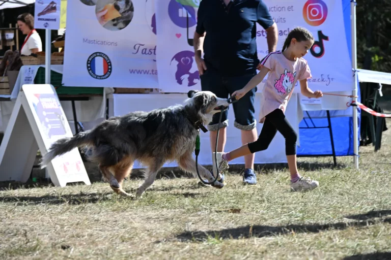 Cani-Parcours - Édition 2026 - Canifun