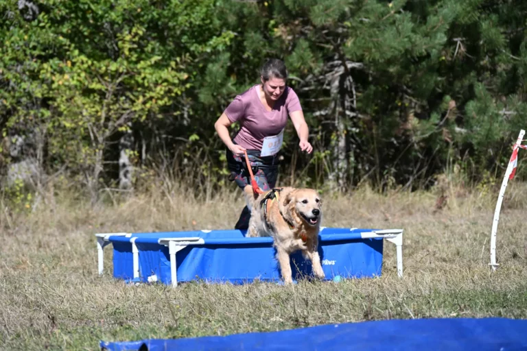 Cani-Parcours - Édition 2026 - Canifun