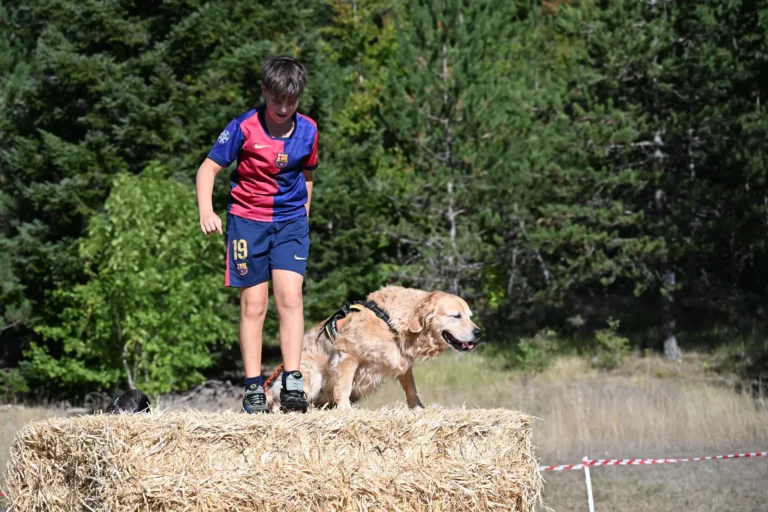 Cani-Parcours - Édition 2026 - Canifun