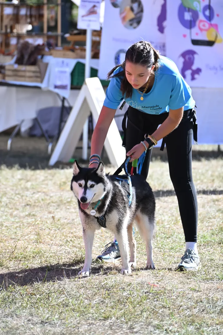 Cani-Parcours - Édition 2026 - Canifun