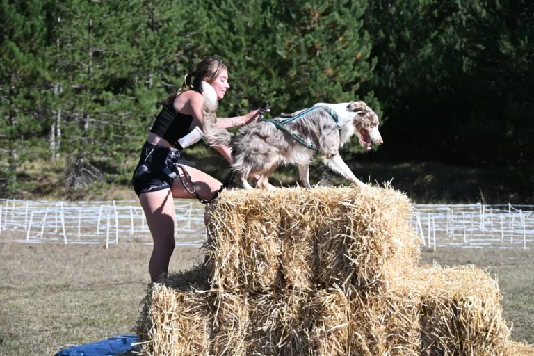 Cani-Parcours - Édition 2026 - Canifun
