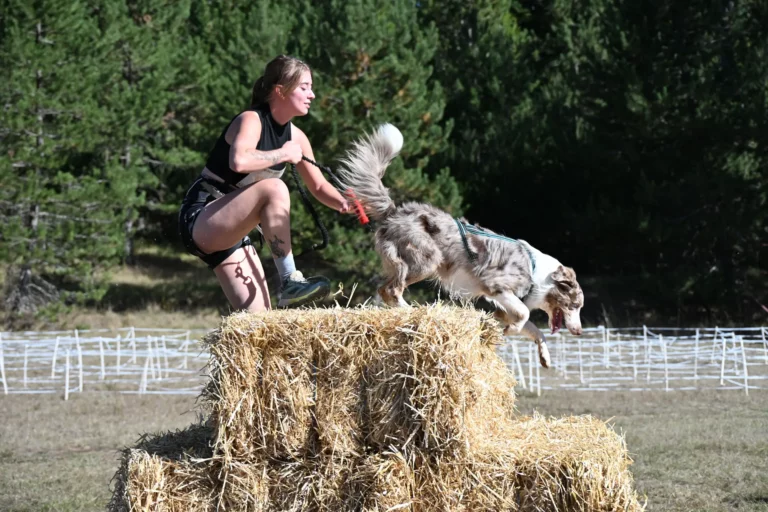 Cani-Parcours - Édition 2026 - Canifun