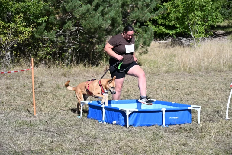 Cani-Parcours - Édition 2026 - Canifun