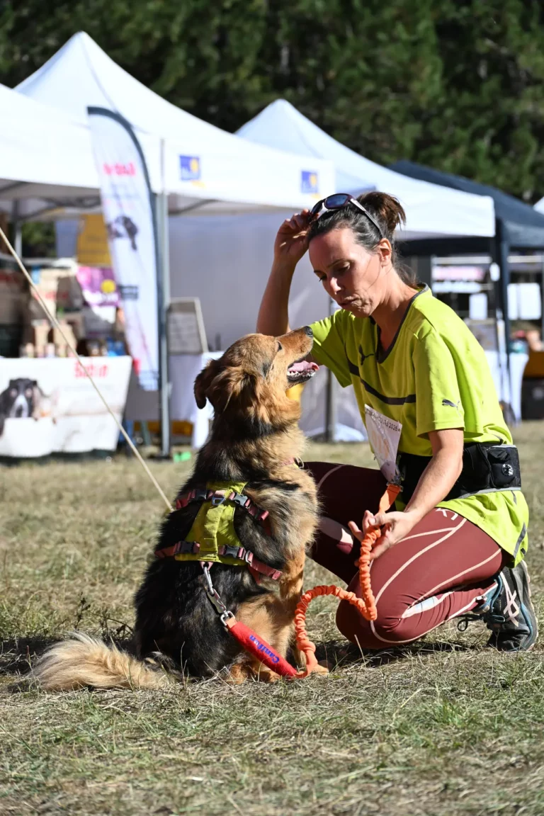 Cani-Parcours - Édition 2026 - Canifun