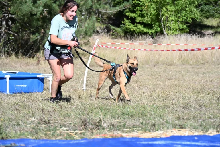 Cani-Parcours - Édition 2026 - Canifun