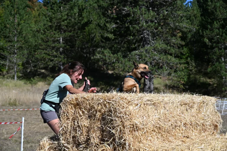 Cani-Parcours - Édition 2026 - Canifun