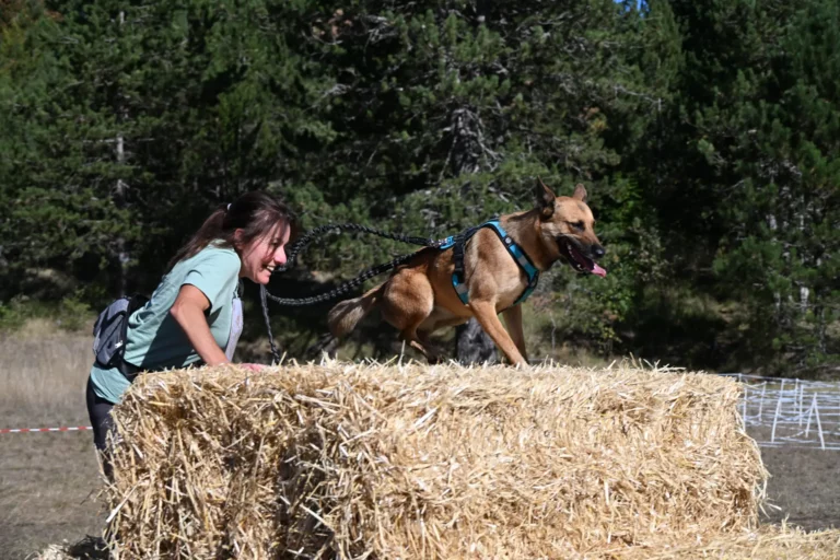 Cani-Parcours - Édition 2026 - Canifun