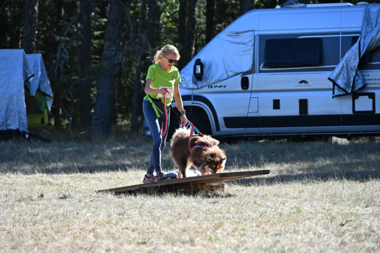 Cani-Parcours - Édition 2026 - Canifun