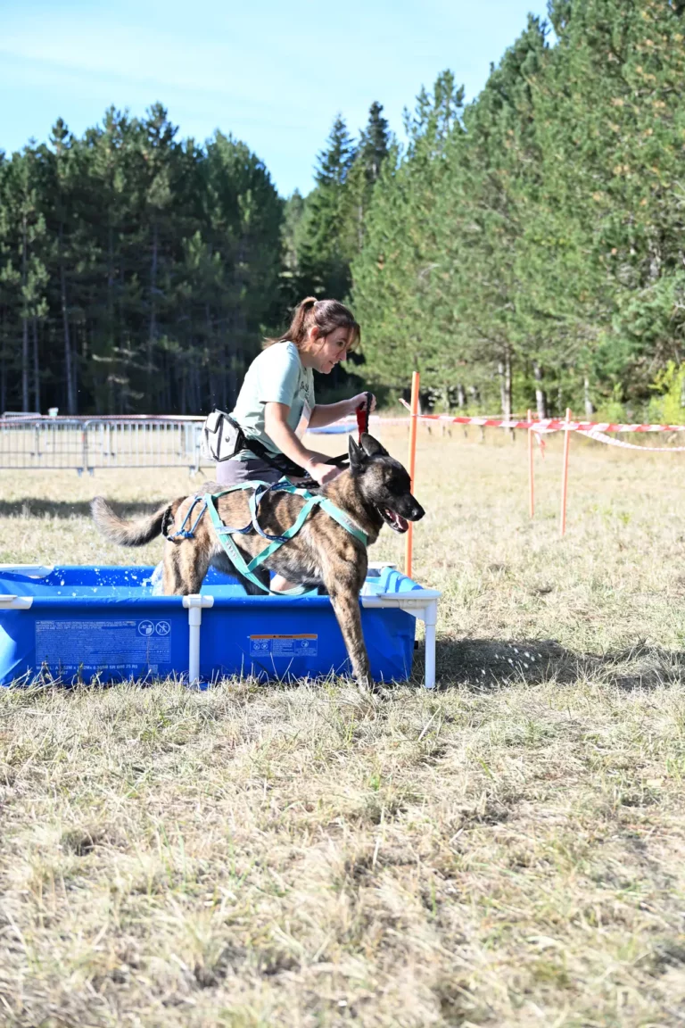 Cani-Parcours - Édition 2026 - Canifun
