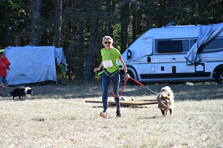 Cani-Parcours - Édition 2026 - Canifun