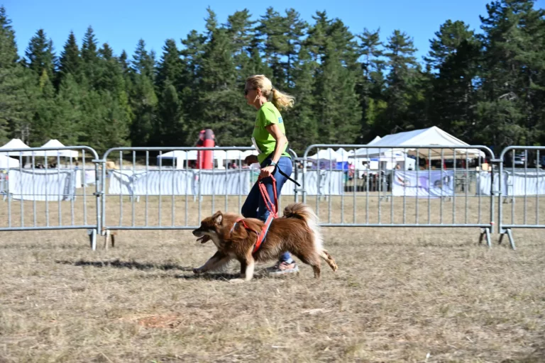 Cani-Parcours - Édition 2026 - Canifun