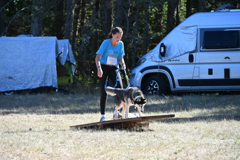 Cani-Parcours - Édition 2026 - Canifun
